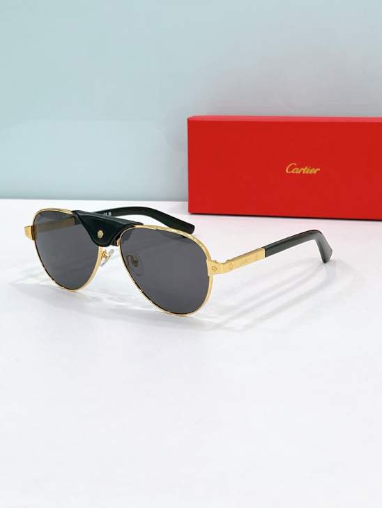 Picture of Cartier Sunglasses _SKUfw79566422fw